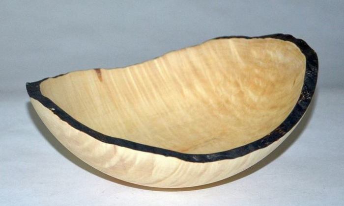 Manitoba Maple NE